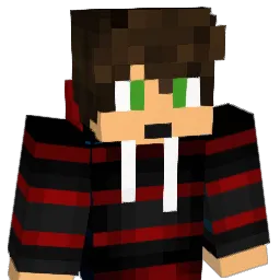RadioAssasin9 Minecraft avatar bust