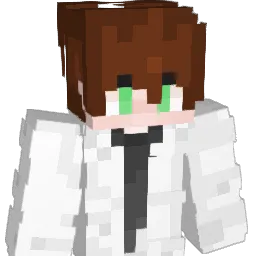 Radsche1609 Minecraft avatar bust