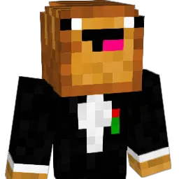 Rafaeljobf Minecraft avatar bust