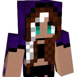 Rafawicc Minecraft avatar bust