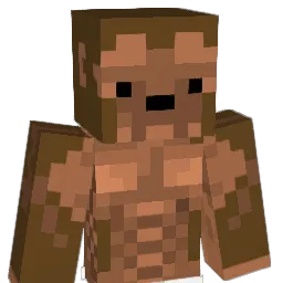 RaidZInfinite