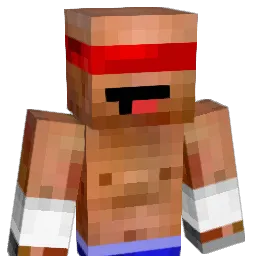 Raider383 Minecraft avatar bust