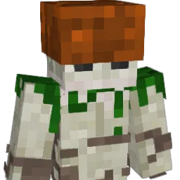 RaiderJarl