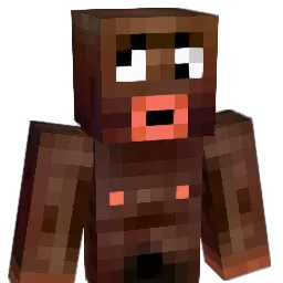 Raiirz Minecraft avatar bust