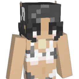 RainInOasch Minecraft avatar bust