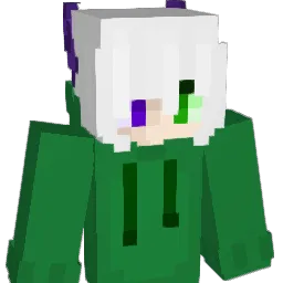 Rain_E404 Minecraft avatar bust