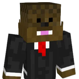 RainbowMonkey911 Minecraft avatar bust