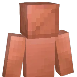 RainbowStew2111 Minecraft avatar bust