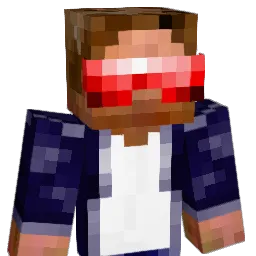 Rainer43 Minecraft avatar bust