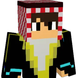 Rainerr628 Minecraft avatar bust