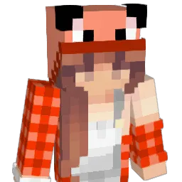RainingTacos445 Minecraft avatar bust