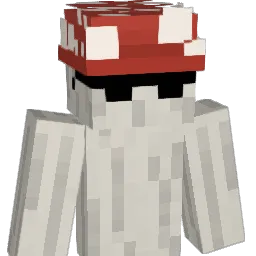 Raisonss Minecraft avatar bust