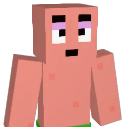Rajbir69 Minecraft avatar bust