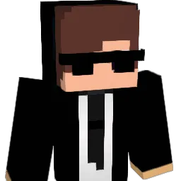RalPro11 Minecraft avatar bust