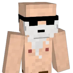RaminHartmann Minecraft avatar bust
