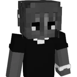 Ran98wqa2 Minecraft avatar bust