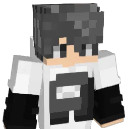 RanCy29's Minecraft skin