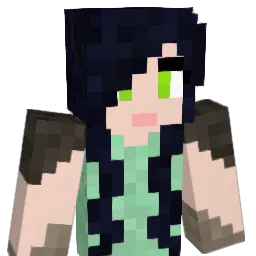 RandomBlackCat Minecraft avatar bust
