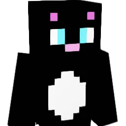 RandomGamer00's Minecraft skin