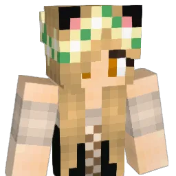 RandomNinja132's Minecraft skin