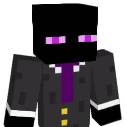 Random_Ender Minecraft avatar bust