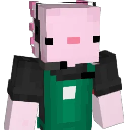 Random_XGG