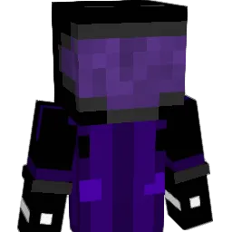 Randomize__yt's Minecraft skin