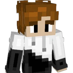RandomlyMeh Minecraft avatar bust