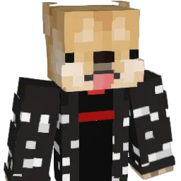 Raniu_ Minecraft avatar bust