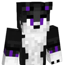 Raoullllll's Minecraft skin