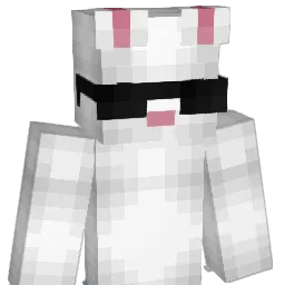 Raphael_Raphaelo Minecraft avatar bust