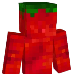 Raphoutou's Minecraft skin
