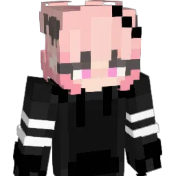 RapiXD