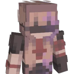 RapidNinjaLeave Minecraft avatar bust