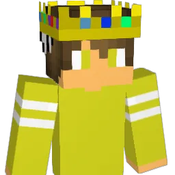 Rapiddds Minecraft avatar bust