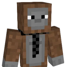 Raptor29w Minecraft avatar bust