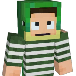 RareFireTurtle's Minecraft skin