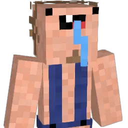 RaskForhud Minecraft avatar bust