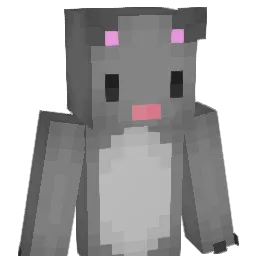 RatTail4896 Minecraft avatar bust