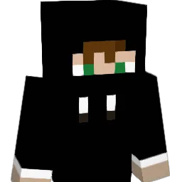 RaucousHurdle34 Minecraft avatar bust