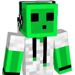 Ray312 Minecraft avatar bust