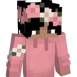RaySparce Minecraft avatar bust