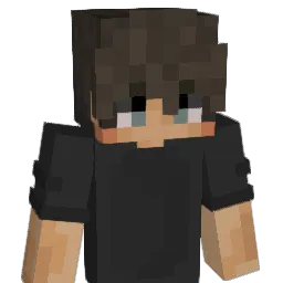Ray_B_PAPASU Minecraft avatar bust