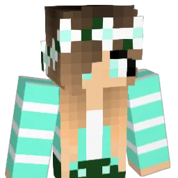Ray_ray9122 Minecraft avatar bust