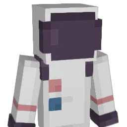 Rayan330220 Minecraft avatar bust