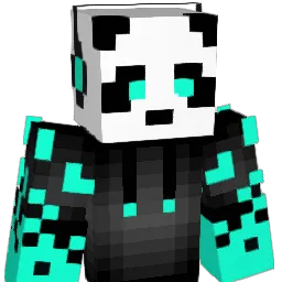 Raybot_HD Minecraft avatar bust
