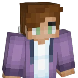 Rayfordo Minecraft avatar bust