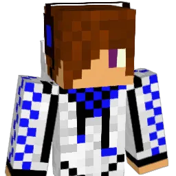 Rayhaan1 Minecraft avatar bust