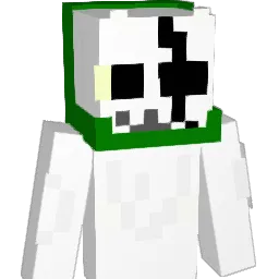 Raynyag's Minecraft skin