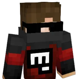 Raypax1337 Minecraft avatar bust